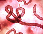New breakthrough paving the way for universal Ebola therapeutic