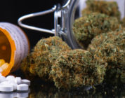 Adults Who Mix Cannabis with Opioids for Pain Report Higher Anxiety, Depression